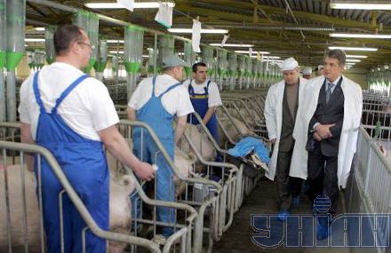 Ющенко НОВОСТИ УКРАИНЫ СОБЫТИЯ В МИРЕ