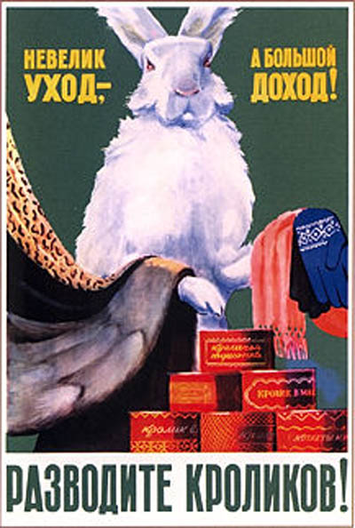 Яценюк