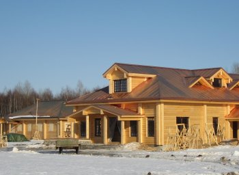 Усадьба Михалкова в д.Мытница 2008 г