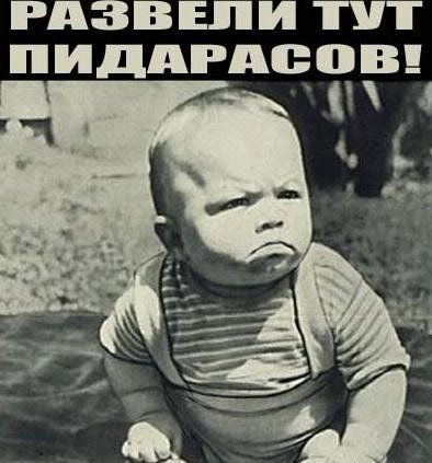 Берегите «ЖОппу»!